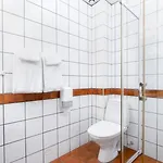 Birkebeineren Hotel&apartments 3*