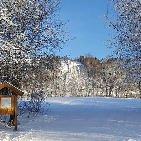 Birkebeineren &