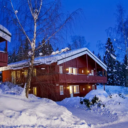 Otel Birkebeineren &