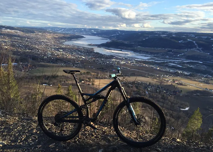 Hotell Birkebeineren & 3*