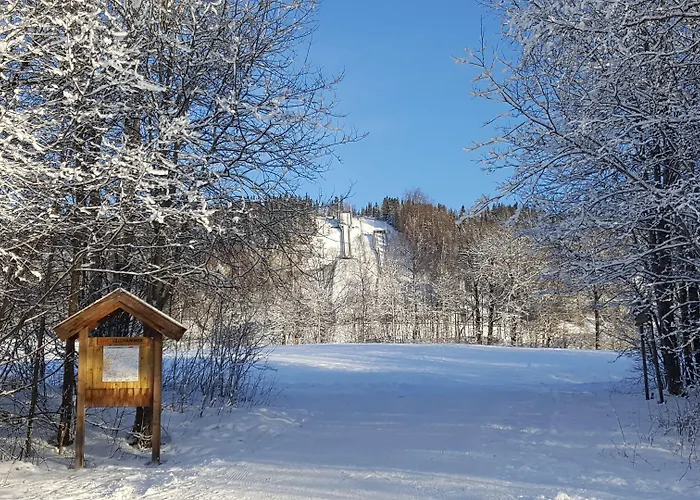 Birkebeineren Hotel&apartments
