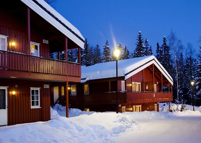 Hotell Birkebeineren &