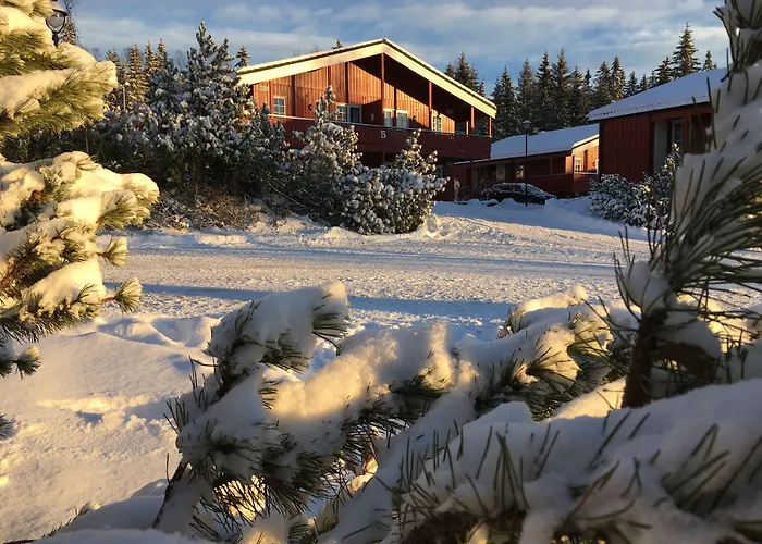 Hotell Birkebeineren &